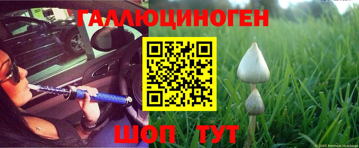 наркошоп  Псилоцибиновые грибы Psilocybe  Вход с VPN  Лобня 